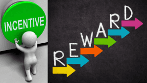 Performance Incentives and Rewards